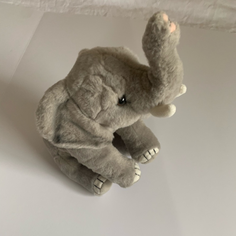 Nelly the Elephant from National Geographic
